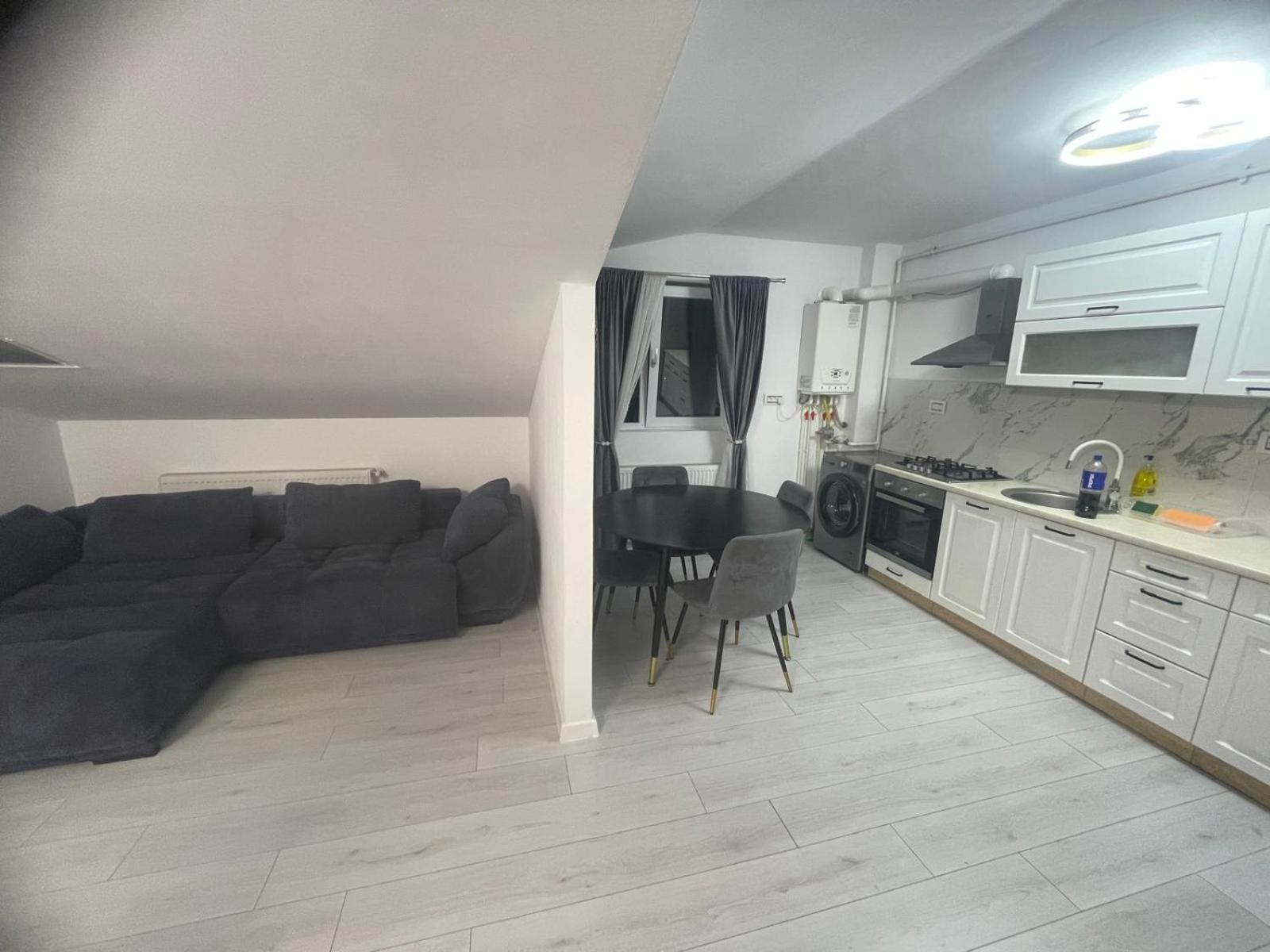 Apartament 2 Camere Tirgu Jiu Târgu Jiu Zewnętrze zdjęcie